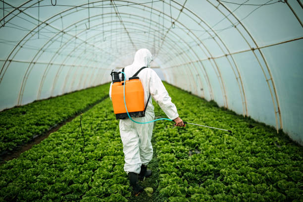 Best Best Pest Control Companies  in Robinwood, MD