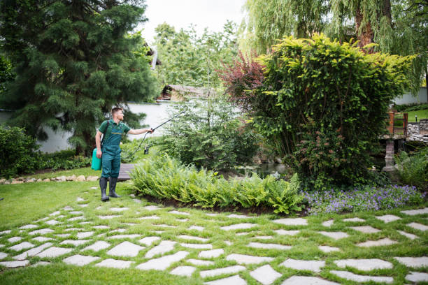 Best Wildlife Control Services  in Robinwood, MD