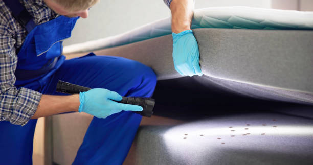  Robinwood, MD Pest Control Pros