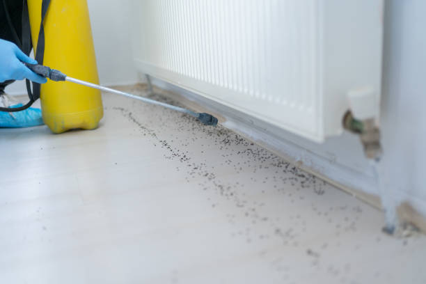 Trusted Robinwood, MD Pest Control Experts