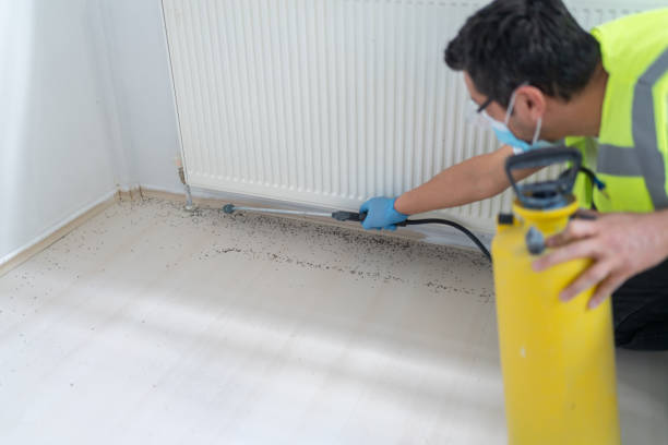 Best Ant Control Services  in Robinwood, MD