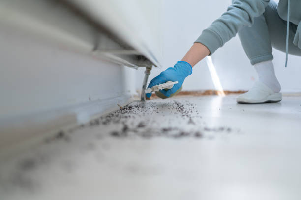 Best Insect Control  in Robinwood, MD